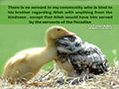 who is kind to his brother regarding Allah