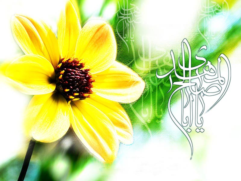 http://www.sibtayn.com/swf/gallery/images/monasebat/veladat/mahdi/pic2/pic29.jpg