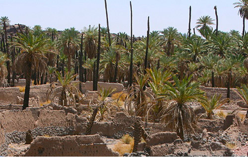 آیا می دانید امكان دارد خلیفه پیامبر (صلی الله علیه وآله) کافر شود ؟