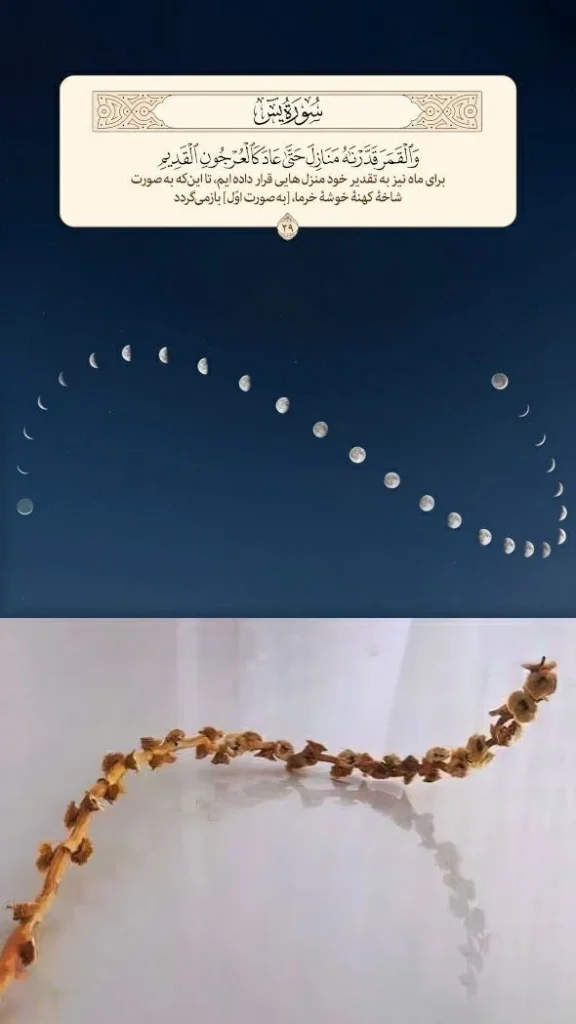 شگفتی قرآن-ماه