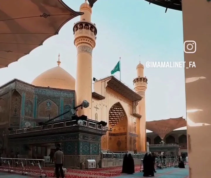 نمی دانم چه سری هست در گریبانش